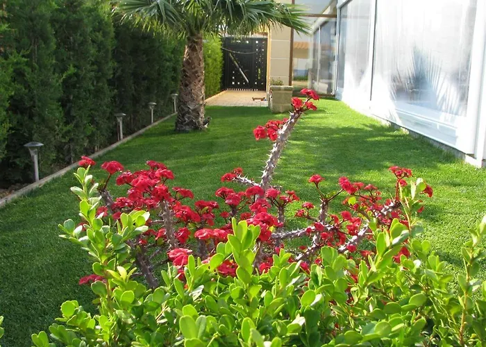 Апартаменты Stone